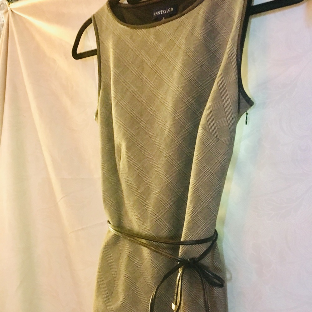 Anne Taylor Dress